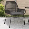 Image de vidaXL Chaises de jardin avec coussins - Résine tressée noire - Lot de 2