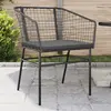 Image de vidaXL Chaises de jardin lot de 2 avec coussins