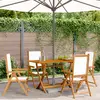 Image de vidaXL Chaises inclinables de jardin - Lot de 4