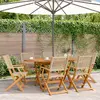 Image de vidaXL Chaises de jardin pliantes acacia et rotin - Lot de 6 beige