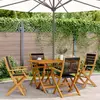 Image de Vidaxl Chaises pliantes de jardin - Bois d'acacia massif noir (lot de 4)