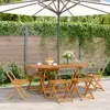 Image de vidaXL Chaises pliantes - Poly rotin et bois massif