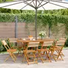 Image de vidaXL Chaises de jardin pliantes bois d'acacia