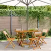 Image de vidaXL Chaises de jardin pliantes lot de 4