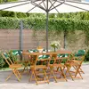 Image de vidaXL Chaises de jardin pliantes - Bois d'acacia vert lot de 8