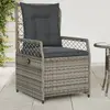 Image de vidaXL Chaises inclinables 2 pcs Gris Résine Tressée