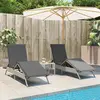 Image de VIDAXL Chaises Longues Lot de 2 - Gris