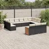 Image de vidaXL Salon de jardin 13 pcs - Noir