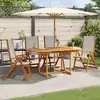 Image de vidaXL Chaises Pliables Acacia Gris