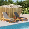 Image de vidaXL Chaises longues lot de 2 - Noir