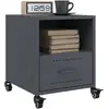 Image de VIDAXL 2 Tables de Nuit - Anthracite