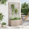 Image de vidaXL Jardinière avec Treillis - Marron Clair