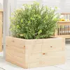 Image de vidaXL Jardinière pin massif 40 cm