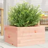 Image de vidaXL Jardinière - Douglas