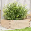 Image de vidaXL - Bois de pin