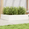 Image de vidaXL Jardinière blanche 100x100x23 cm bois de pin