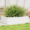 Image de VIDAXL Jardinière - Bois de pin - Blanc