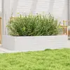 Image de VidaXL Jardinière blanc 110x60x23 cm
