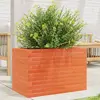 Image de vidaXL Jardinière - Cire Marron