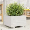 Image de vidaXL Jardinière - Blanc bois de pin massif