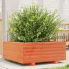 Image de vidaXL Jardinière cire marron 60x60x26,5 cm