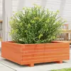 Image de vidaXL Jardinière en pin massif - Marron cire