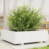 Image de vidaXL Jardinière bois pin blanc
