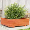 Image de vidaXL Jardinière cire marron en bois