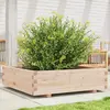 Image de VIDAXL Jardinière - Bois de pin massif