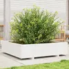 Image de vidaXL Jardinière - Bois de Pin Massif 100x100x26,5 cm