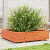 Image de vidaXL Jardinière cire marron 100x100 cm