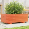 Image de vidaXL Jardinière cire bois de pin