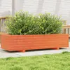 Image de vidaXL Jardinière 847340