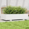 Image de vidaXL Jardinière Blanc 110x60x26.5 cm Bois de pin