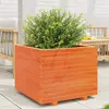 Image de vidaXL Jardinière cire marron - 60x60x49,5 cm