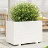 Image de vidaXL Jardinière - Blanc