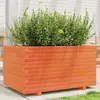 Image de vidaXL Jardinière Cire - Marron