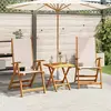 Image de VidaXL Chaises pliables de jardin - Acacia