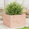 Image de vidaXL Jardinière bois de douglas 70x70x46 cm