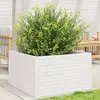 Image de vidaXL Jardinière Blanc Bois