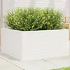 Image de vidaXL Jardinière bois de pin massif - Blanc