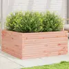 Image de vidaXL Jardinière 100x100x46 cm bois massif de douglas