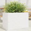 Image de Jardinière vidaXL blanc - Bois de pin massif