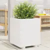 Image de vidaXL Jardinière Bois de pin - Blanc 40 cm
