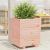 Image de VidaXL Jardinière - 40x40x49,5 cm Bois Douglas
