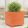 Image de vidaXL Jardinière 50x50x49,5 cm - Bois de pin