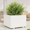 Image de vidaXL Jardinière - Blanc
