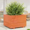Image de vidaXL Jardinière cire marron 70x70x49,5 cm