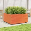 Image de Jardinière vidaXL - Cire marron 100x100x49,5 cm