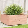 Image de vidaXL Jardinière 110x110x49,5 cm
